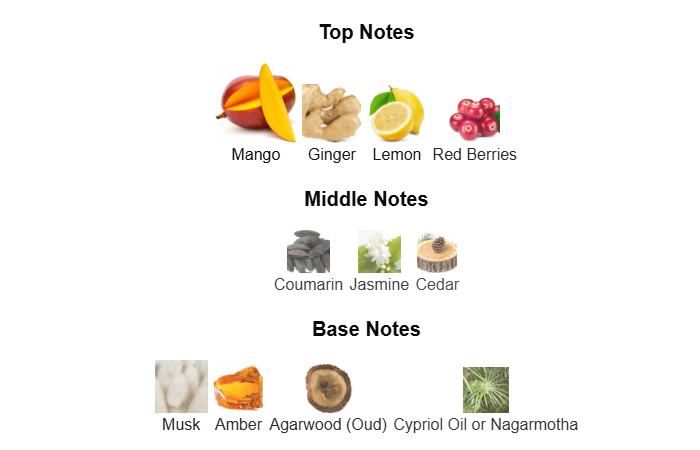 Fragrance Notes