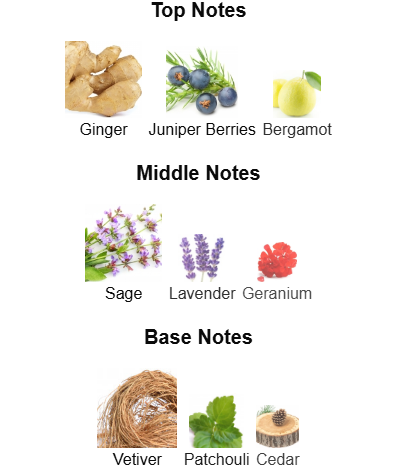 Fragrance Notes