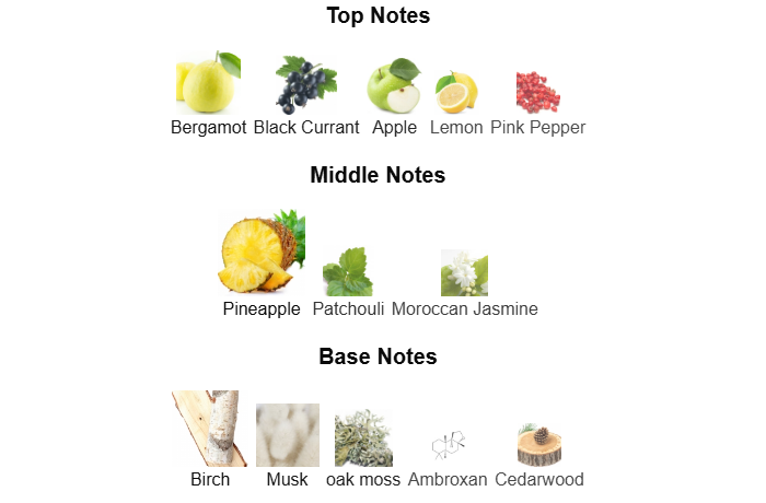 Fragrance Notes