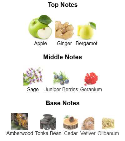 Fragrance Notes