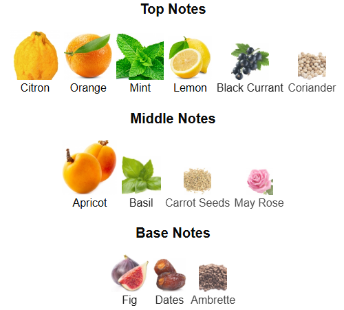 Fragrance Notes