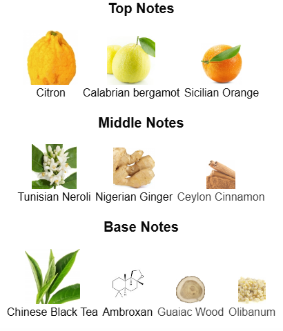 Fragrance Notes