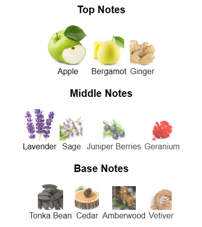 Fragrance Notes
