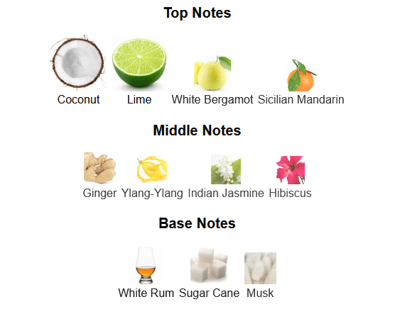 Fragrance Notes