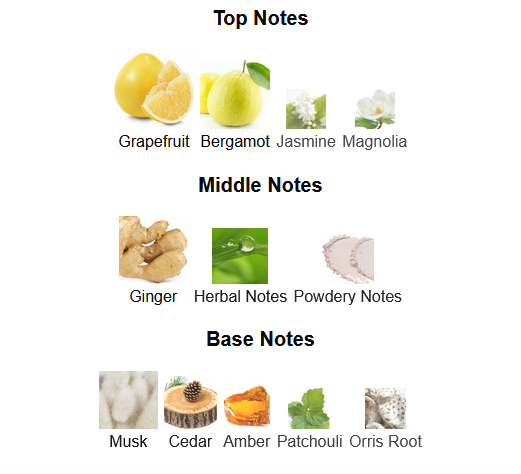 Fragrance Notes