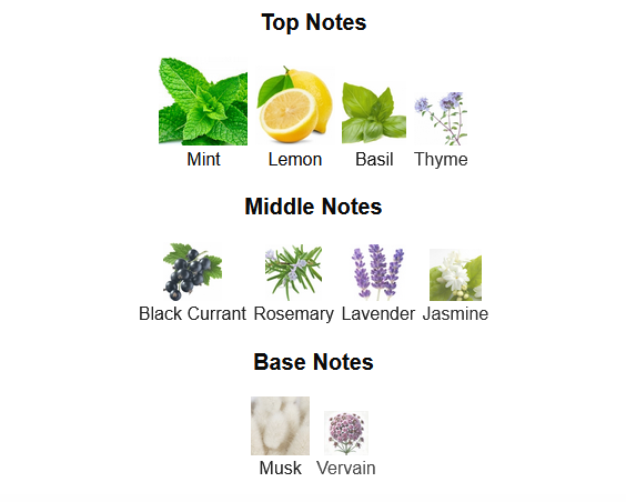 Fragrance Notes