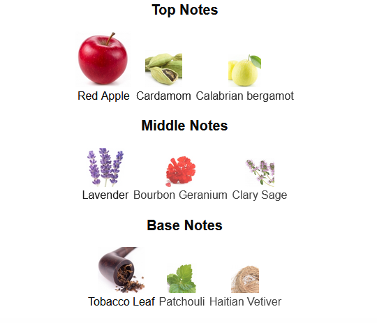 Fragrance Notes