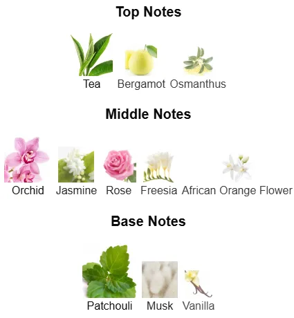 Fragrance Notes