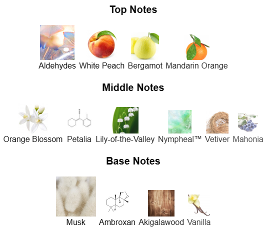 Fragrance Notes