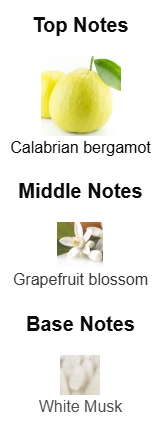 Fragrance Notes