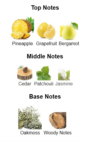 Fragrance Notes