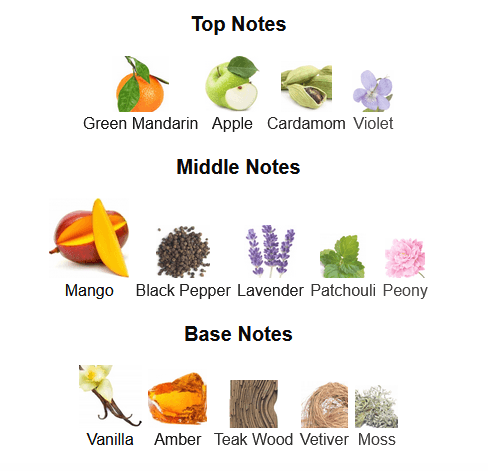 Fragrance Notes