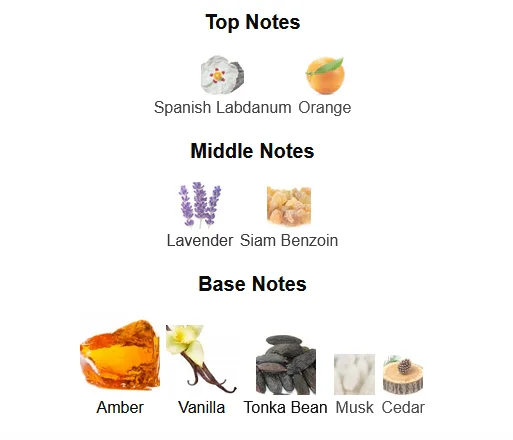 Fragrance Notes