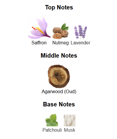 Fragrance Notes