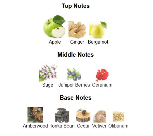Fragrance Notes